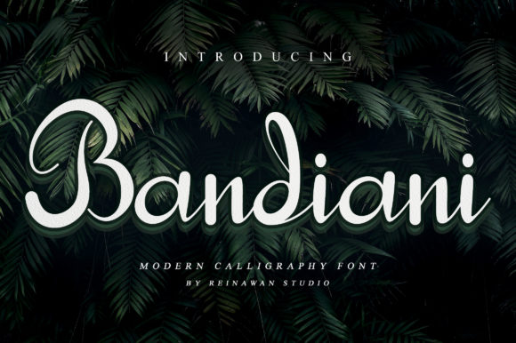Bandiani: The Elegant Font That Elevates Your Campaigns