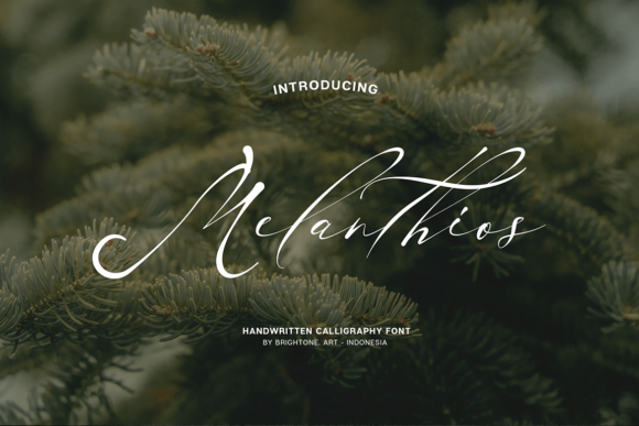 How Melanthios Elevated My Brand’s Visual Identity