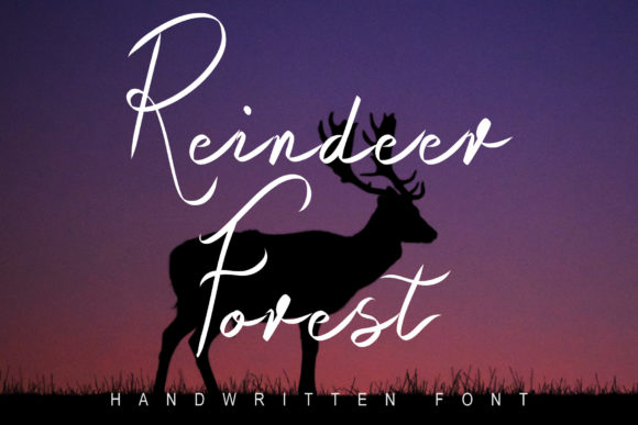 Raindeer Forest: A Handwritten Font for Luxurious Branding