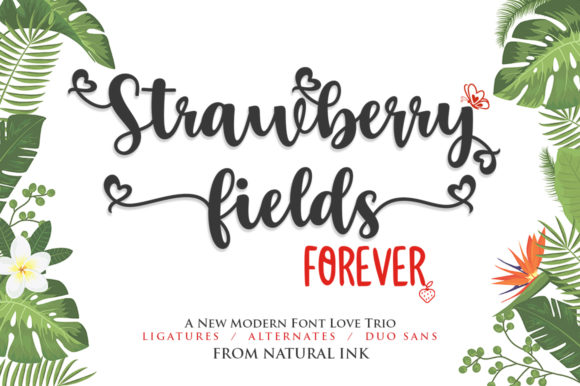 Strawberry Fields Forever Font for Editorial Design